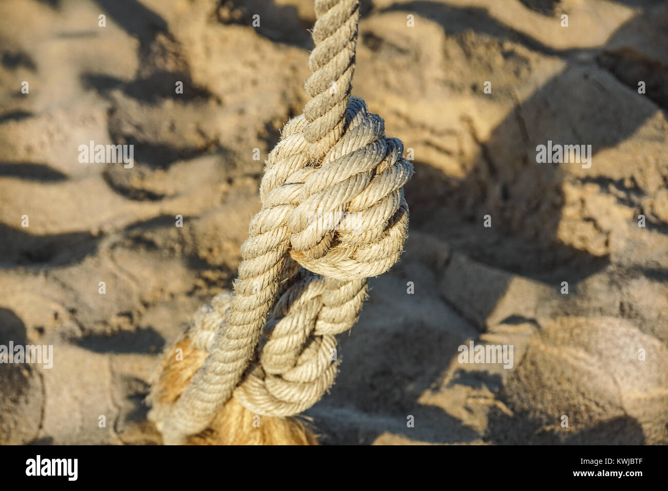 Detail of rope railing of beach walkway, at sunset Stock Photo - Alamy
