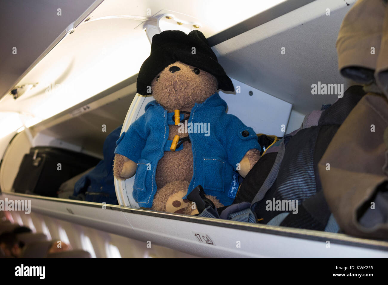 Childs soft toy, Paddington Bear, possibly lost passenger, in airplane air plane overhead luggage bin / locker / lockers / compartment / compartments Stock Photo