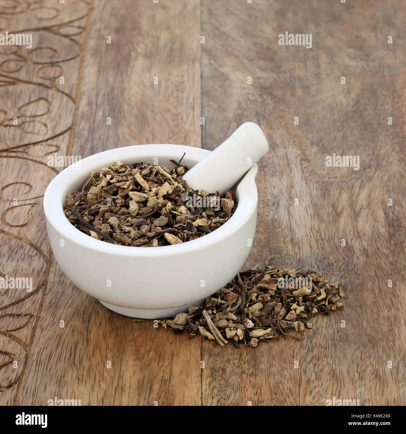Echinacea root herb used in alternative herbal medicine to boost the