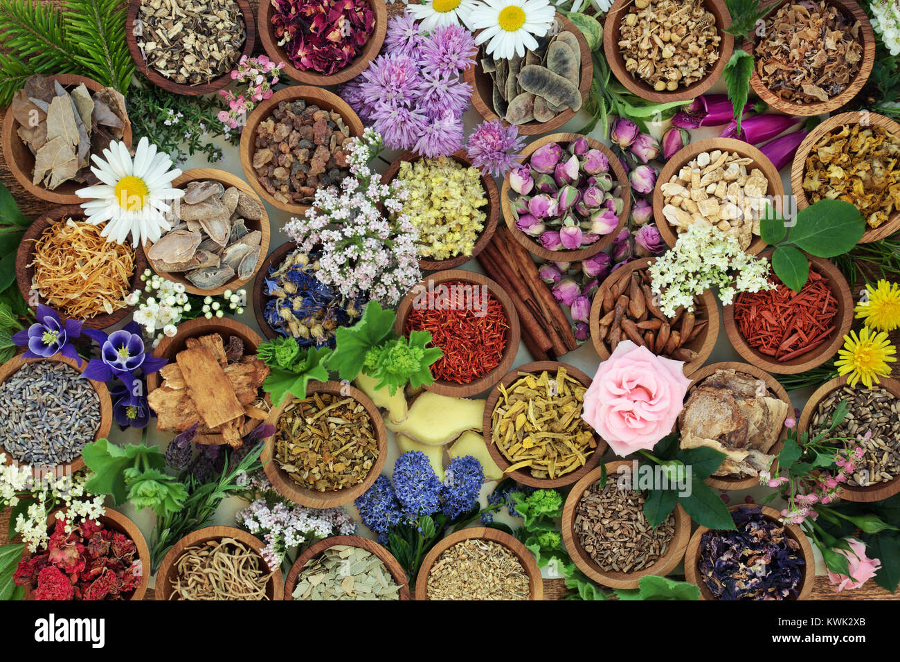 Herbal medicine with herbs and flowers used in chinese and natural alternative remedies with