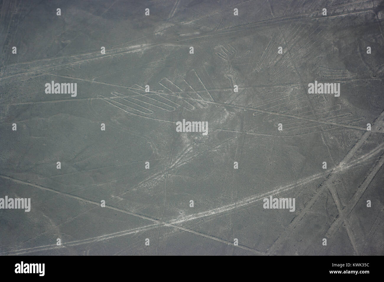 Aerial picture of the Bird figure at Nazca lines seen from the plane, Nazca lines, Peru Stock Photo