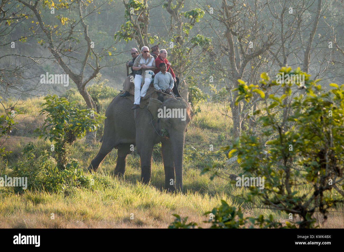 Tourists on elephant jungle safari in Chitwan national Park, Nepal Stock Photo