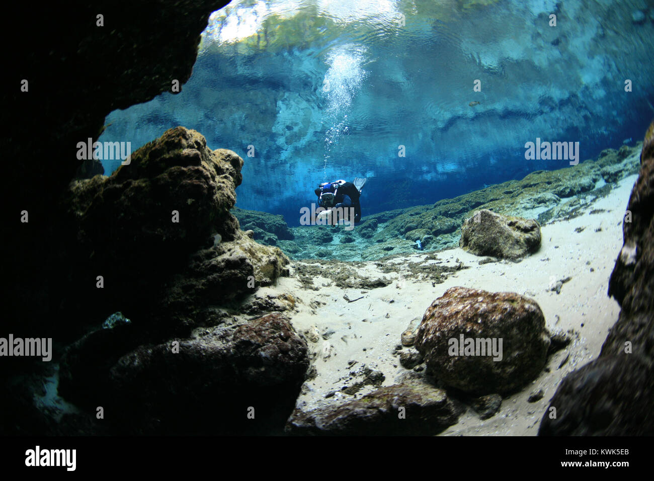 divers underwater caves diving Florida United States of America Stock