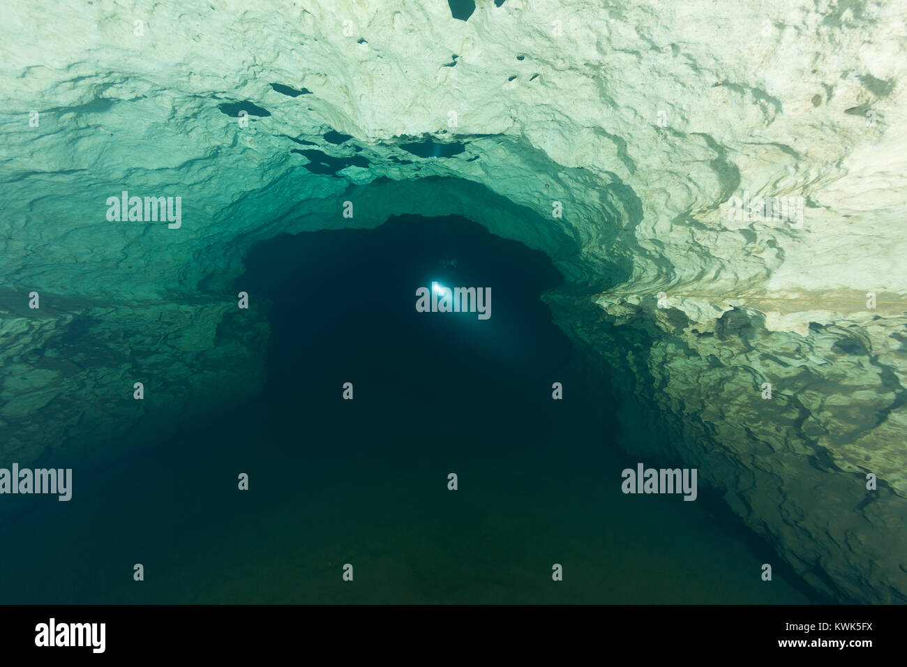 divers underwater caves diving Florida United States of America Stock