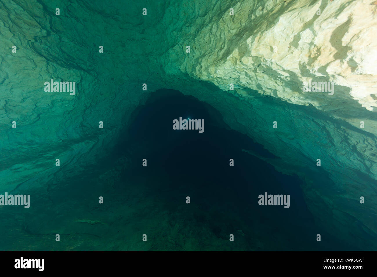 divers underwater caves diving Florida United States of America Stock