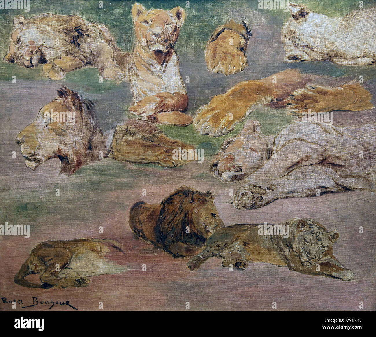 Lions by Rosa Bonheur born Marie-Rosalie Bonheur, (1822 – 1899) French painter of animals Stock Photo