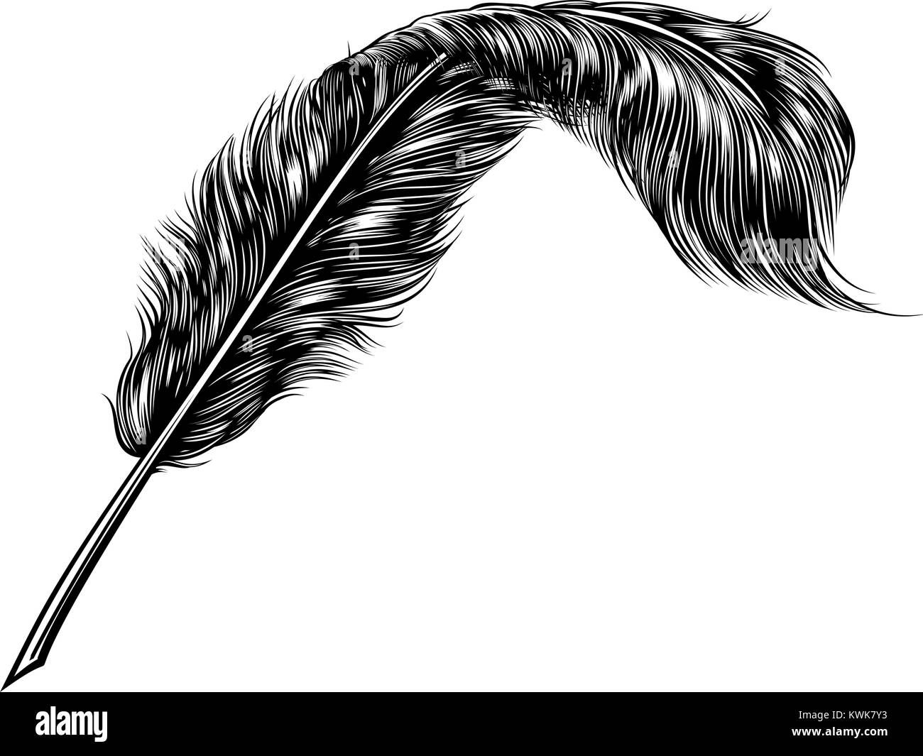 Quill pen etching hi-res stock photography and images - Alamy
