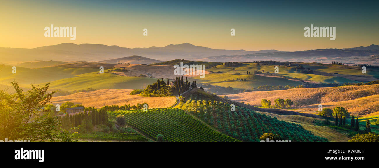 Scenic Tuscany landscape panorama with rolling hills and harvest fields in golden morning light, Val d'Orcia, Italy Stock Photo