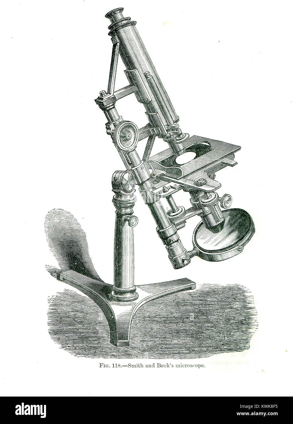Smith & Beck microscope, circa 1850 Stock Photo