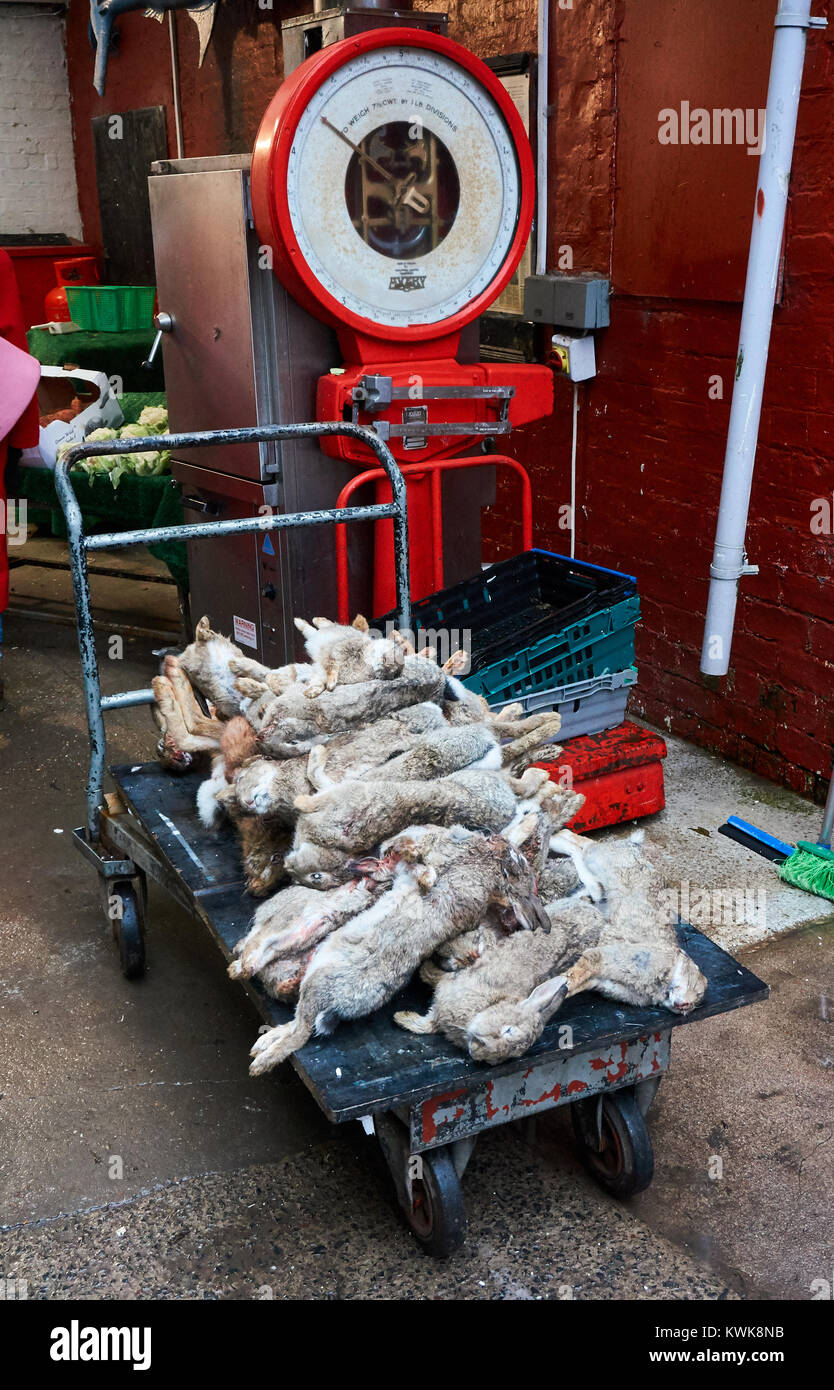 Carcasses of fresh Scottish rabbits at a local butcher. Stock Photo