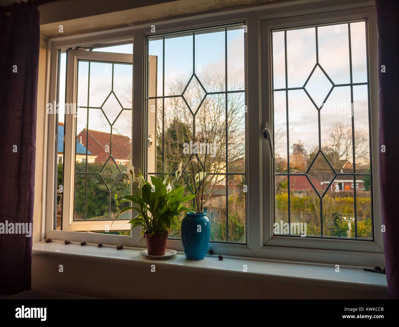 double glass window from inside bedroom vase flowers; essex; england