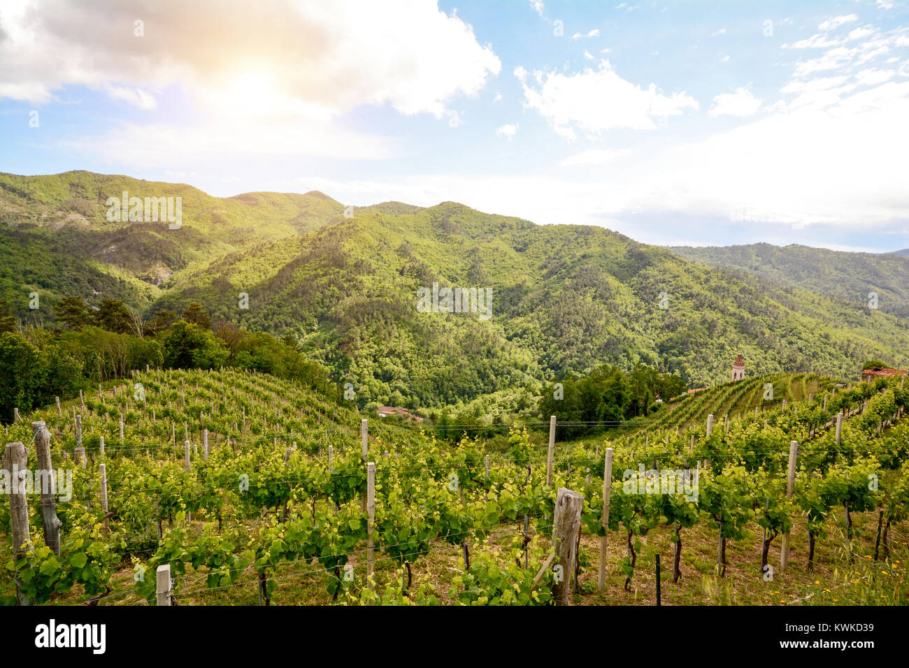 Abruzzo italy vineyard hires stock photography and images Alamy