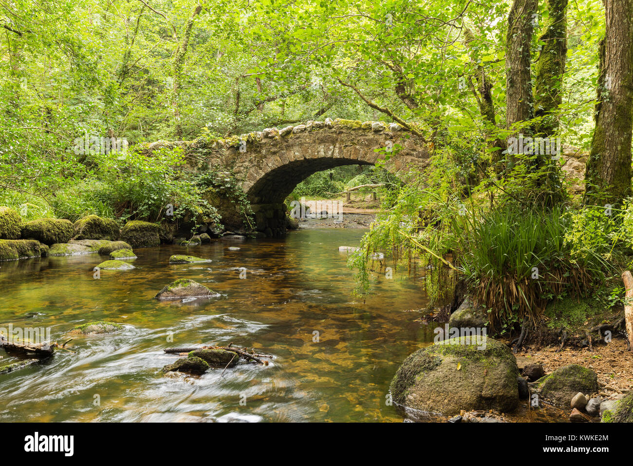 A riverside image of Hisley Bridge an old packhorse bridge over the ...