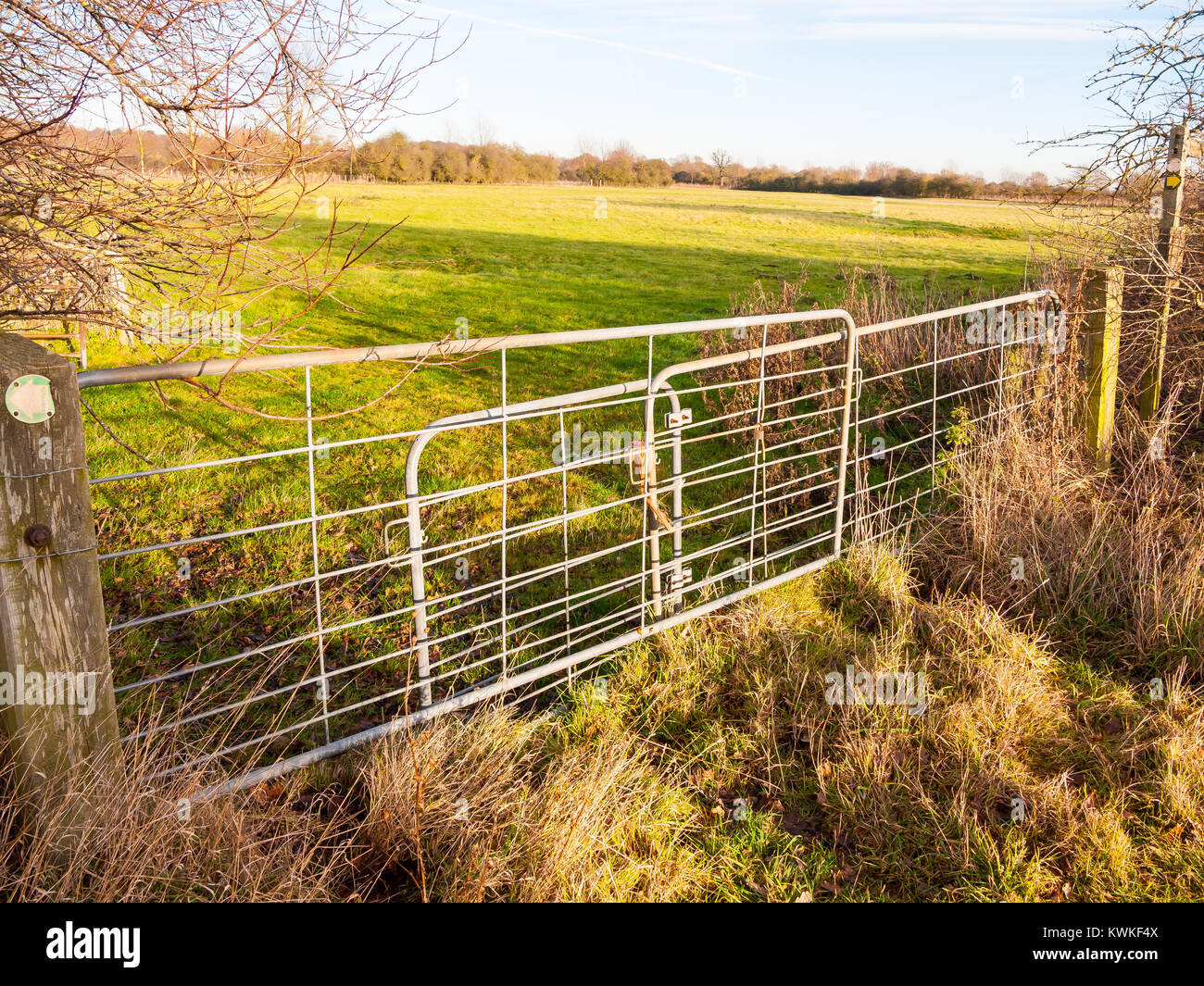farmland metal farm gate field closed locked agriculture nature