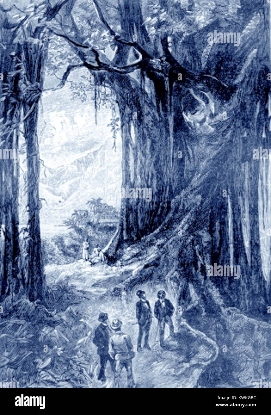 'Propeller Island' by Léon 32 Stock Photo Alamy