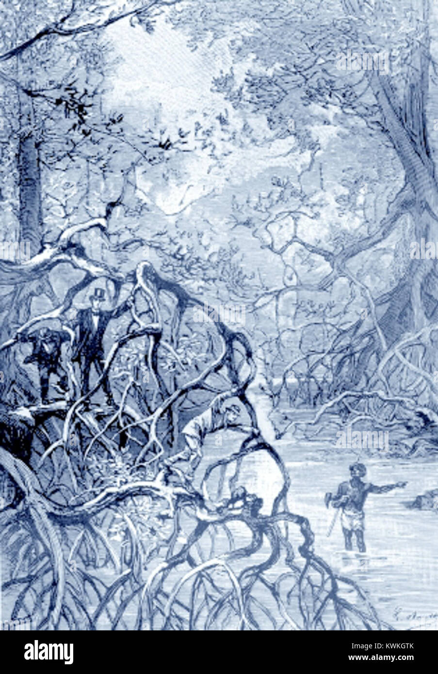 'Propeller Island' by Léon 63 Stock Photo Alamy