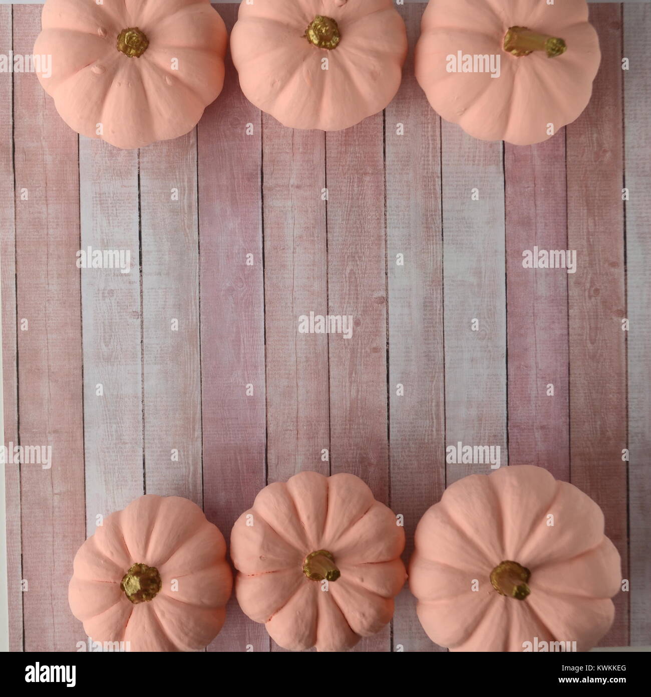Blush pink pumpkins with gold stems on a solid colour background with ...