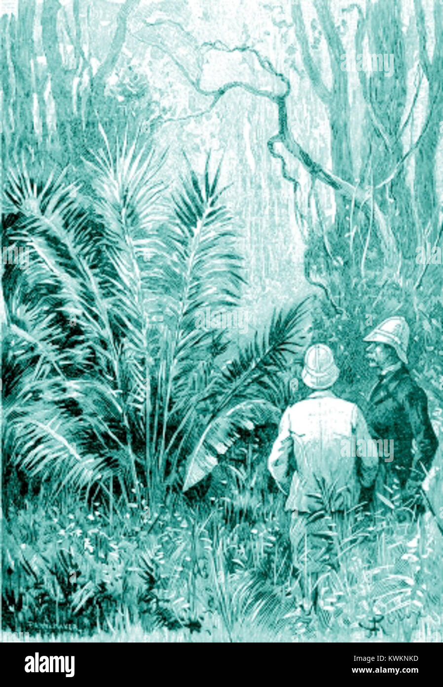 An illustration by George Roux for 'The Mighty Orinoco', depicting a ...