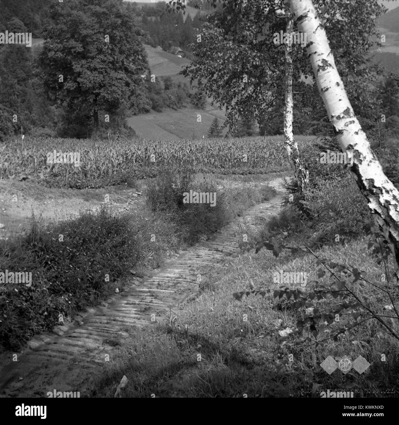&amp;#39;Mosnince&amp;#39; (bruna) na poti v Brezen 1963 Stock Photo - Alamy