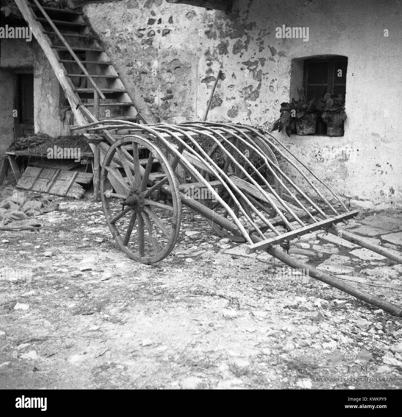 'Voznica' - za seno vozit. Lah Ivan, Sužid 1951 (2) Stock Photo