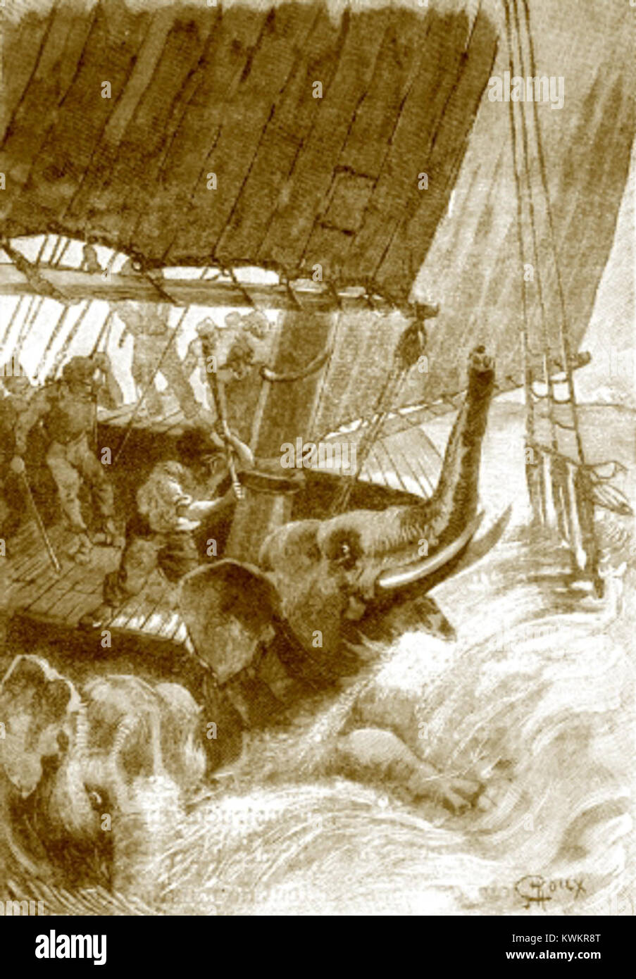 Captain Rouax 'The Wonderful Adventures of Captain Antifer' by George Roux 59 Stock ...