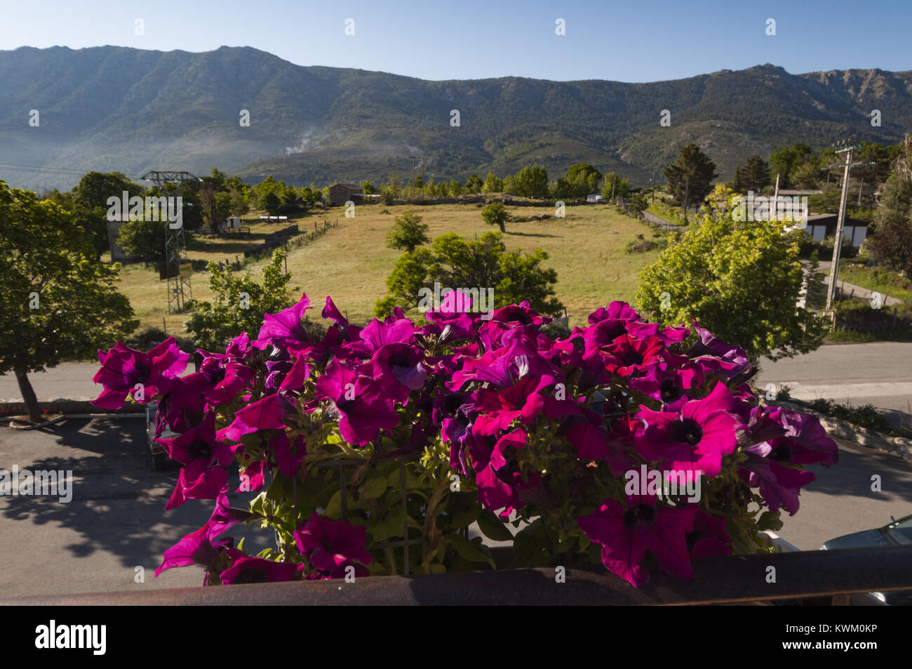 France, Corsica,  Haute-Corse,  Niolo Valley, Calasima village, hotel grounds from above Stock Photo