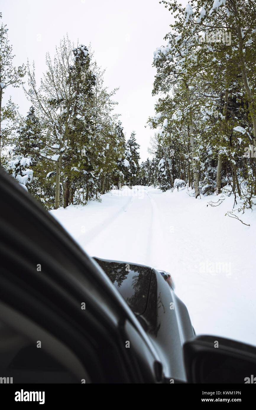 Car on snow covered road amidst trees Stock Photo - Alamy