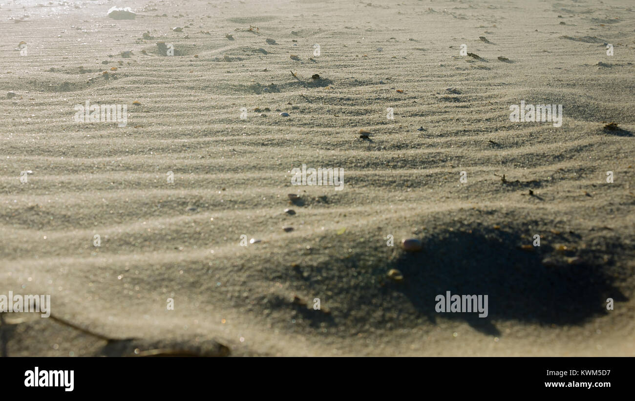 Crazy alien landscape beach terrain that look like a other planet Stock Photo