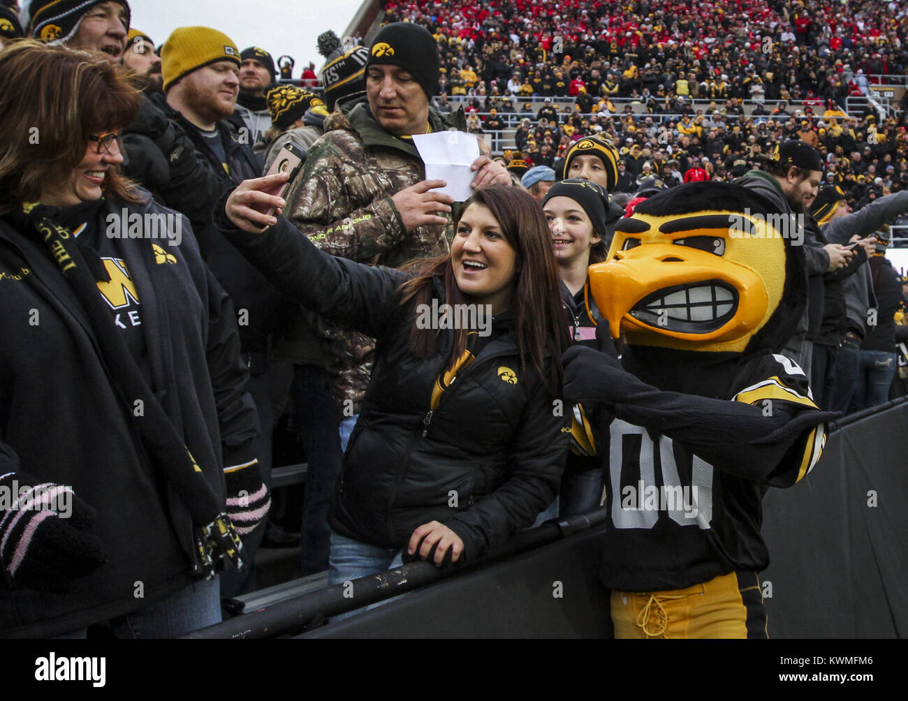 November 25, 2016 - Iowa City, Iowa, U.S. - University of Iowa Hawkeye mascot, Herky, takes photos with fans during the second quarter of their game against the Nebraska Cornhuskers at Kinnick Stadium in Iowa City on Friday, November 25, 2016. (Credit Image: © Andy Abeyta/Quad-City Times via ZUMA Wire) Stock Photo
