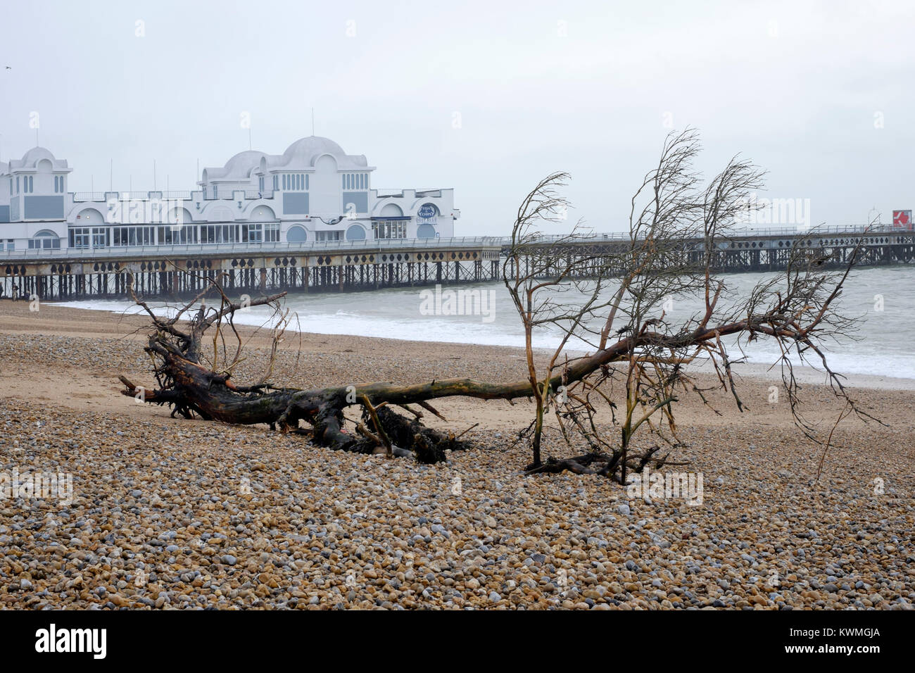 a large tree is amongst the debris washed up onto the beach during storm eleanor as seen here near south parade pier southsea england uk Stock Photo