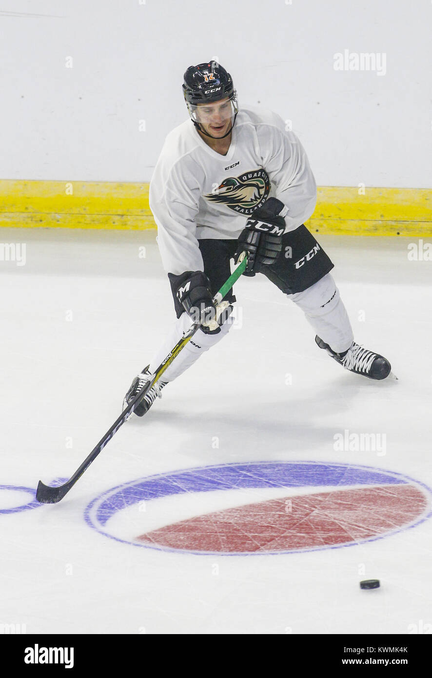 Davenport, Iowa, USA. 5th Oct, 2016. Forward Chris Francis (12) receives a pass during the first day of training camp for the Mallards at the iWireless Center in Moline on Wednesday, October 5, 2016. Credit: Andy Abeyta/Quad-City Times/ZUMA Wire/Alamy Live News Stock Photo