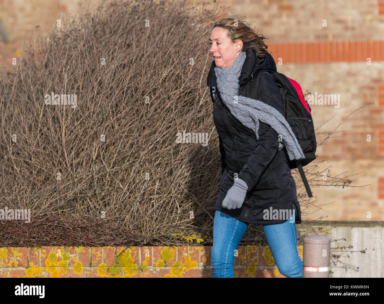 Woman walking into the wind wearing a coat and scarf in winter. Stock Photo