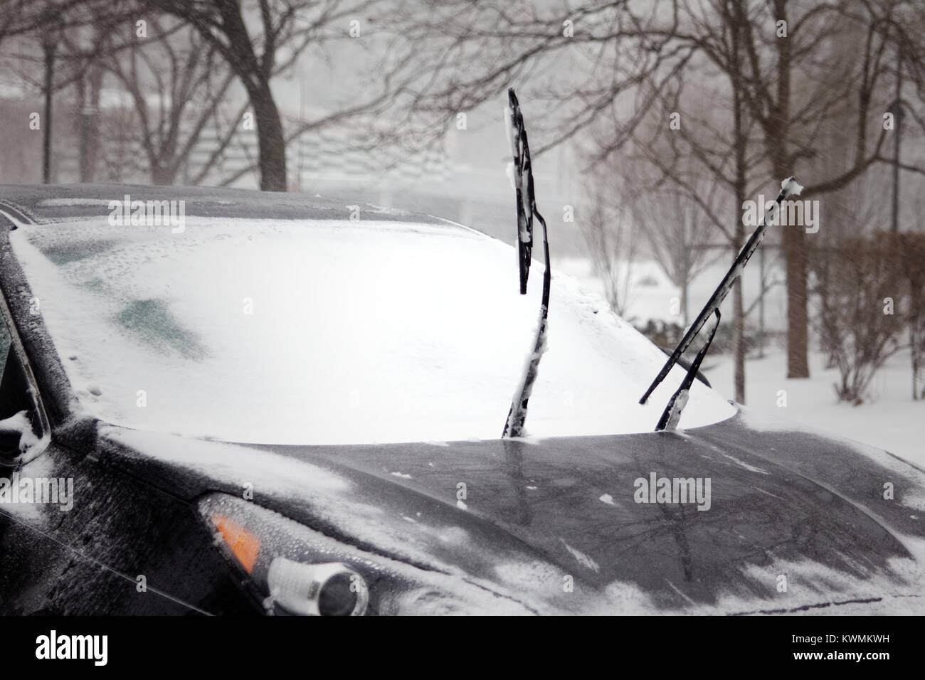 Windshield Wiper Blades High Resolution 