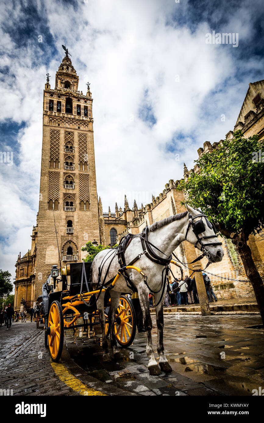 buggy or cart