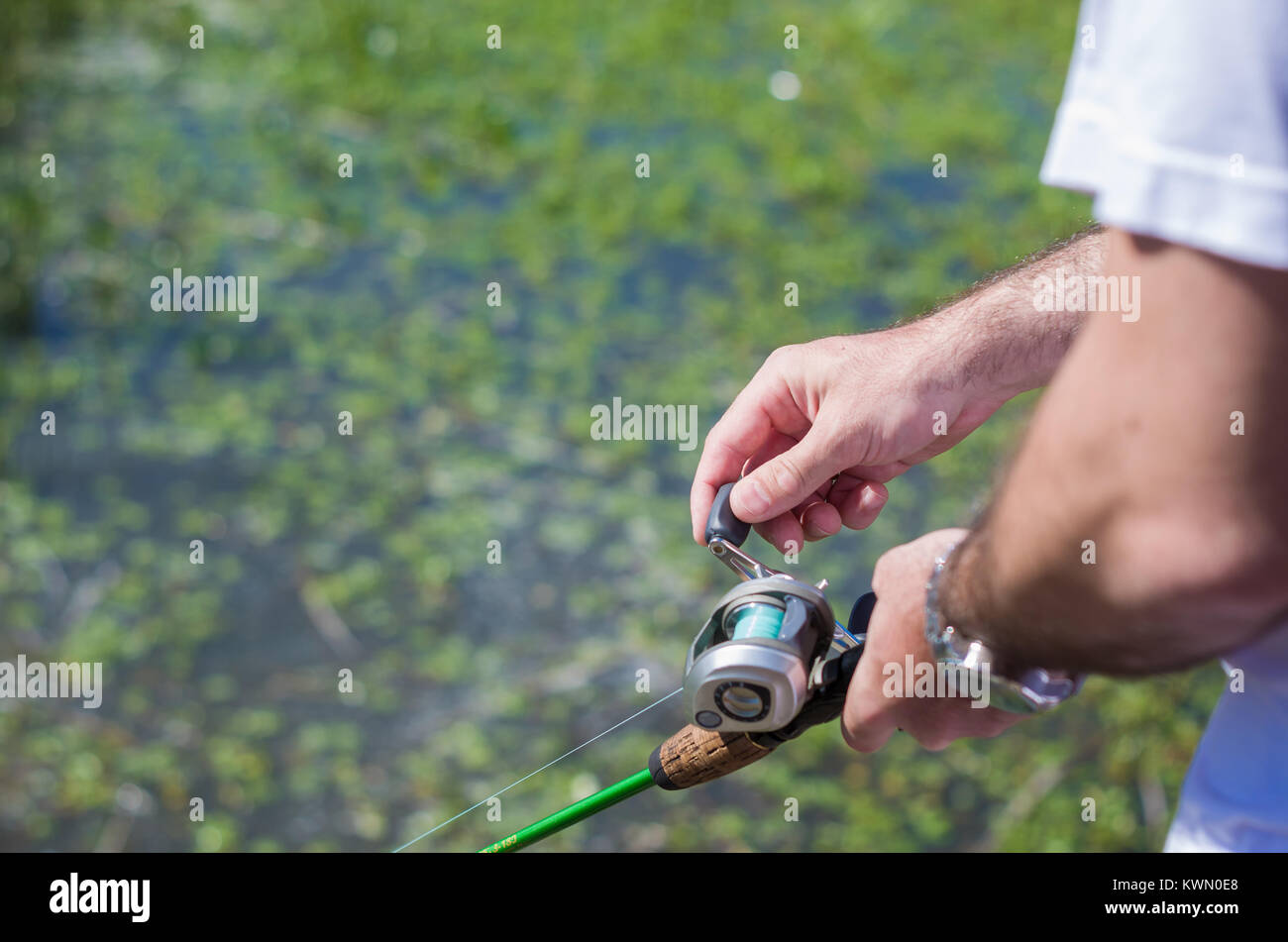 pond fishing rod and reel