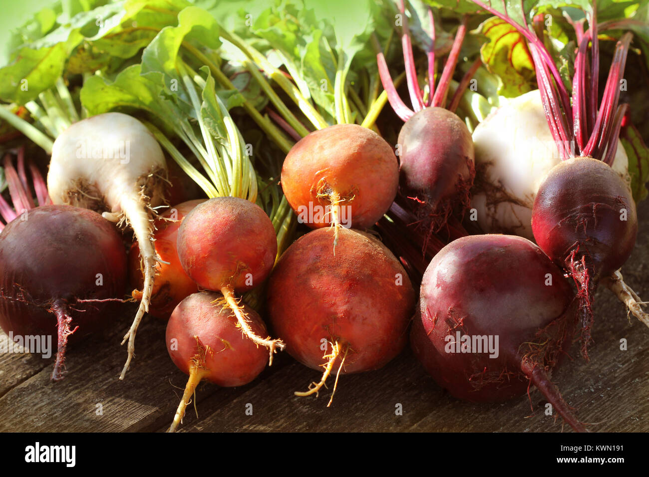 Download Yellow Beetroot High Resolution Stock Photography And Images Alamy PSD Mockup Templates