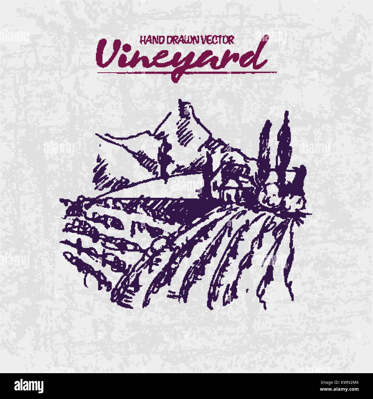 Digital color vector detailed line art purple vineyard fields on mountains background hand drawn illustration set. Thin artistic pencil outline. Vinta Stock Vector