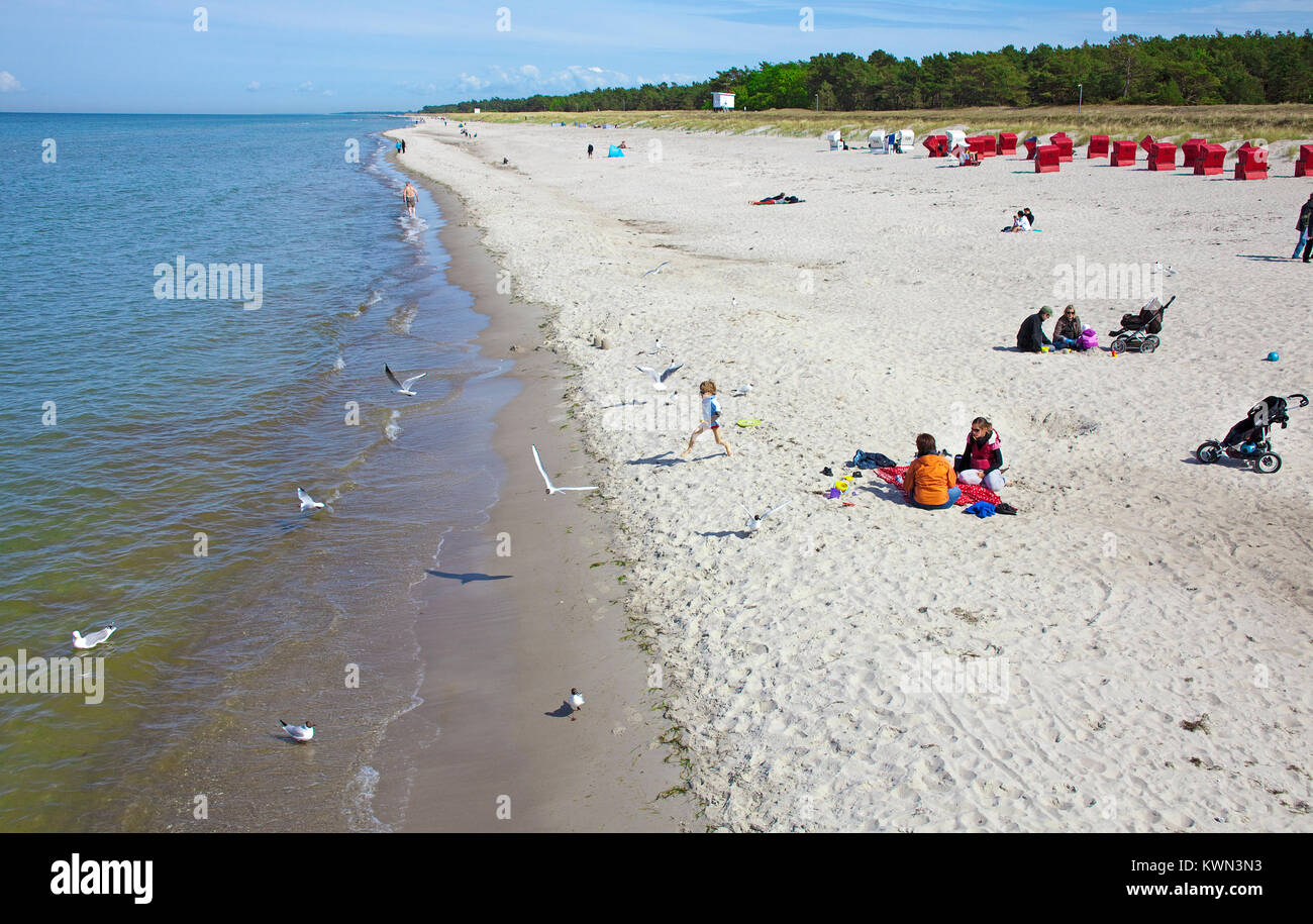 People at the beach of Prerow, Fishland, Mecklenburg-Western Pomerania, Baltic sea, Germany, Europe Stock Photo