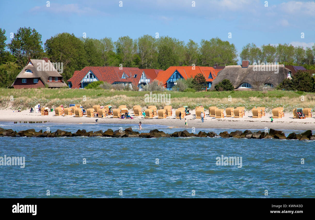 Groyne at sea, beach of Wustrow, Fishland, Mecklenburg-Western Pomerania, Baltic sea, Germany, Europe Stock Photo
