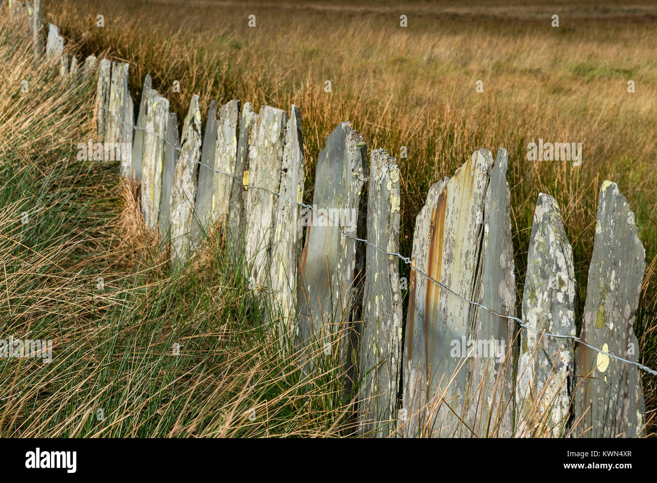 Boundary fencing fence hires stock photography and images Alamy