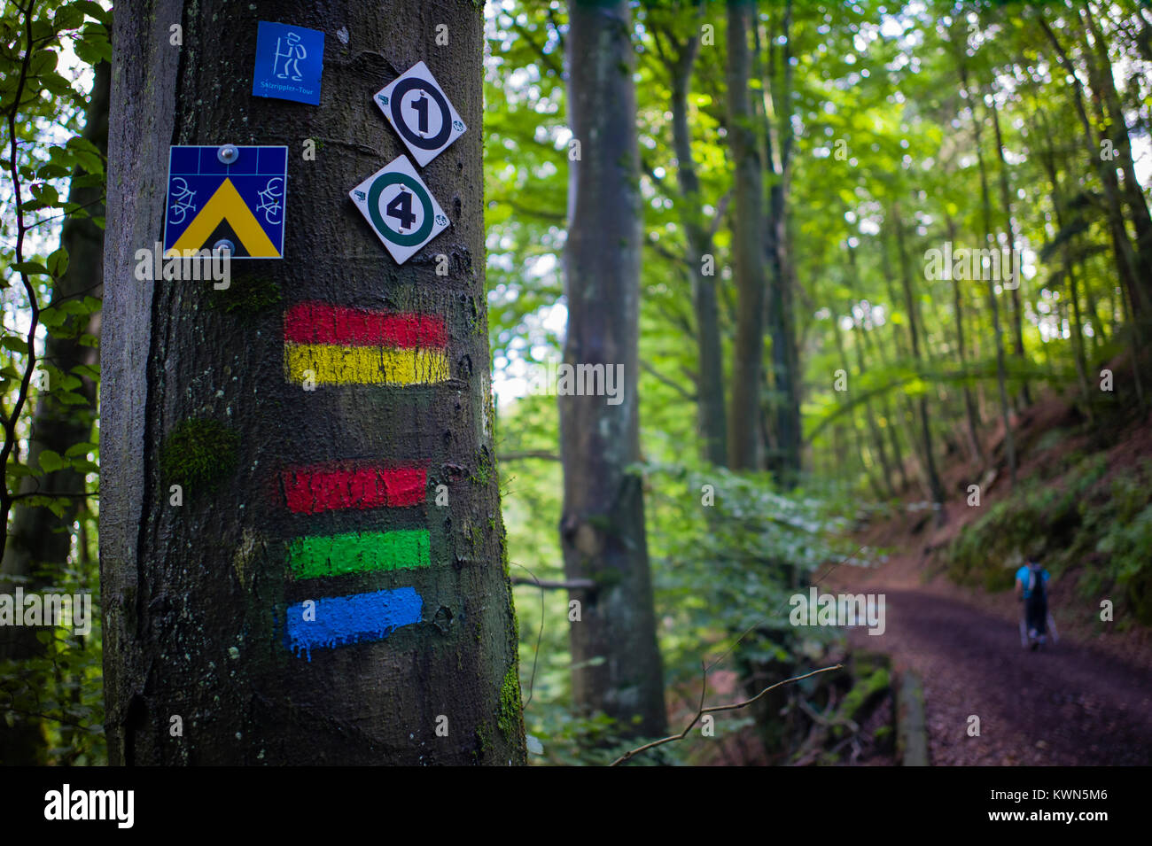 Trail markings near the French border near Nothweiler Palatinate Germany Stock Photo