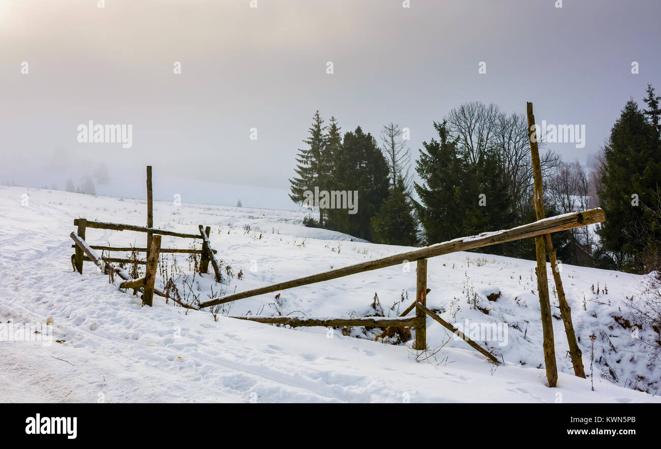 wooden fence on snowy meadow. lovely rural scenery on a foggy morning. location Pylypets, Ukraine Stock Photo
