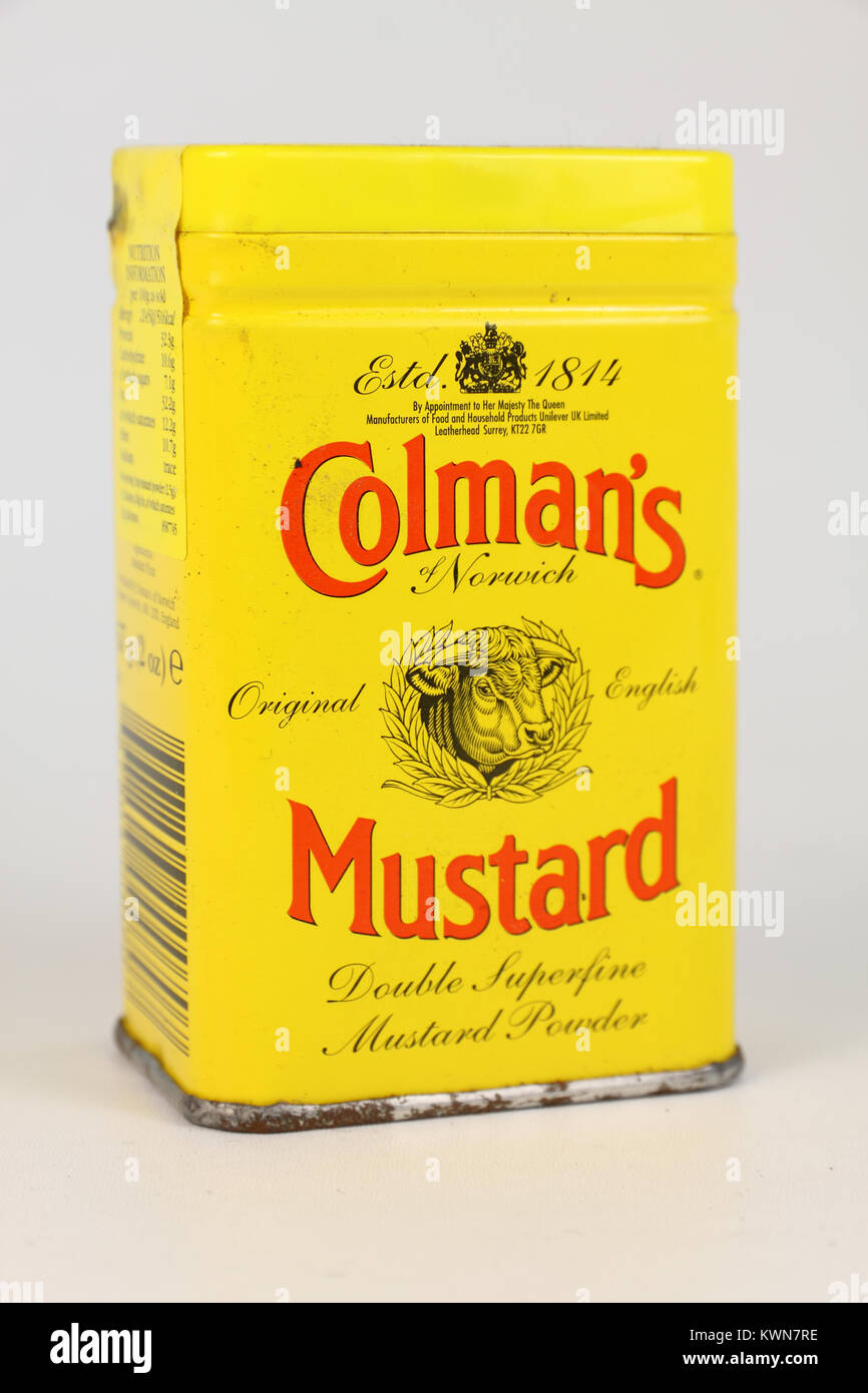 Vintage English Mustard Tin Art & Collectibles Figurines & Knick Knacks