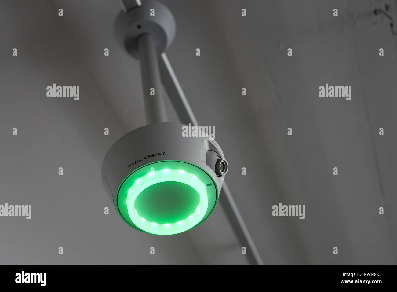 Green Light Ring And Camera On A Park Assist Parking Monitor