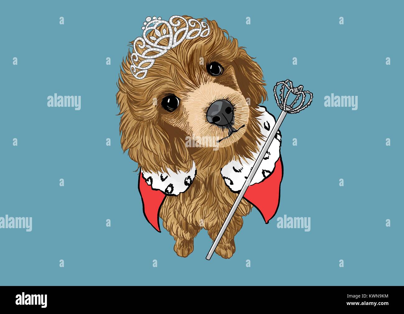 Illustration Of Pet Cute Bulldog Chihuahua Poodle Maltese And Etc 010 Stock Vector Image Art Alamy