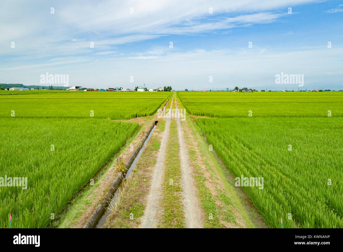 Japan aerial view rice field hi-res stock photography and images - Alamy