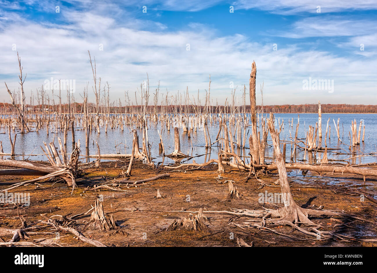 A lake and dead, fallen trees. Land that was once covered by water from the lake is now exposed. Stock Photo