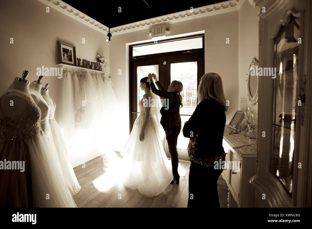 Bridal fitting at a bridal boutique Stock Photo Alamy