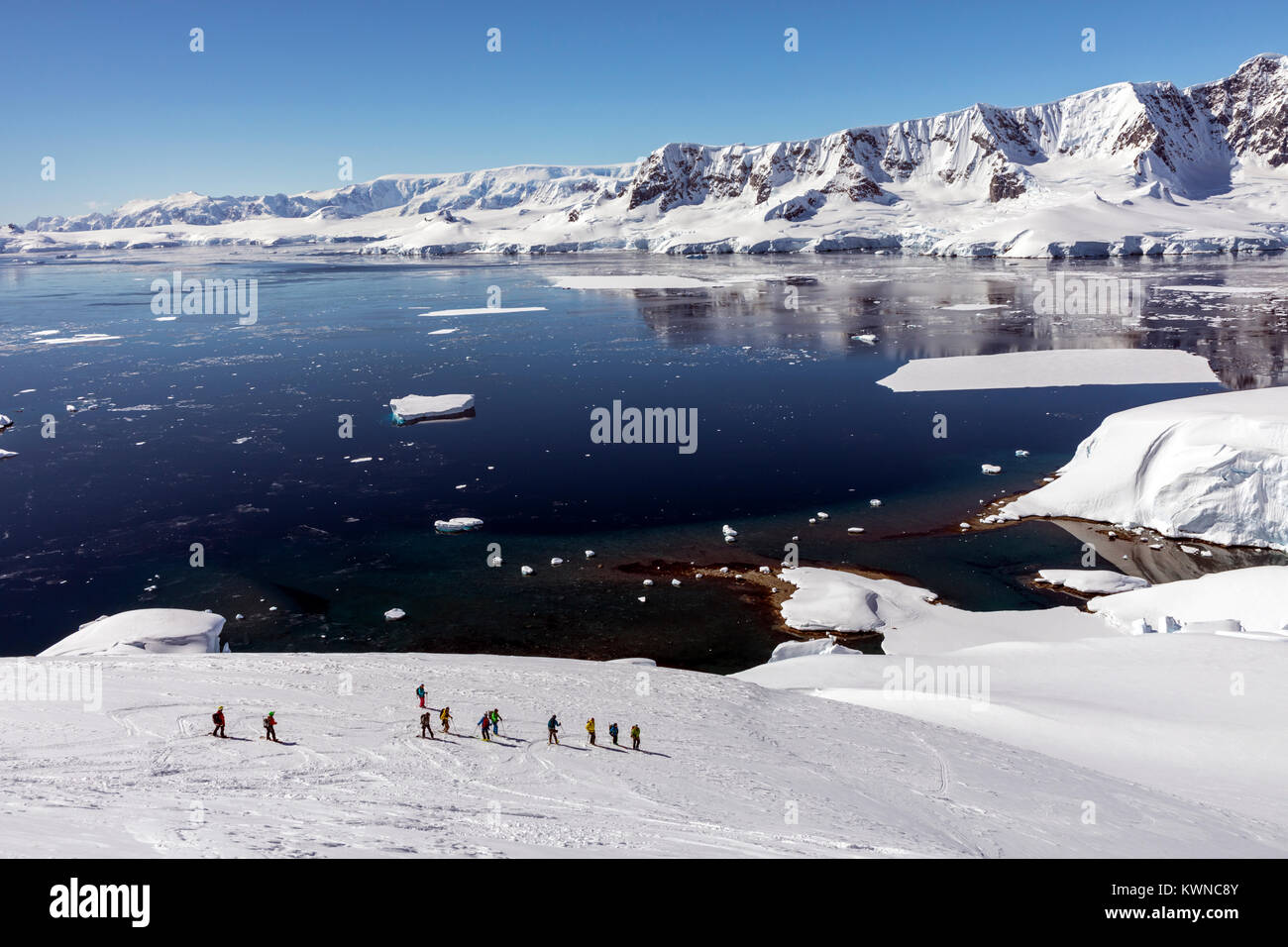 Alpine ski mountaineers skiing downhill in Antarctica Stock Photo