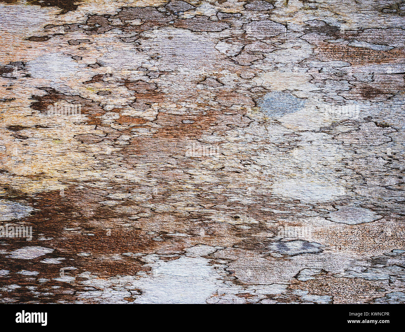 old wood grain texture use us background or vintage overlay design Stock Photo